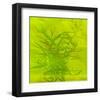 Leafy Green 5-null-Framed Art Print