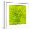 Leafy Green 5-null-Framed Art Print