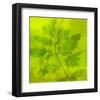 Leafy Green 6-null-Framed Art Print