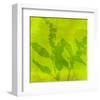 Leafy Green 7-null-Framed Art Print