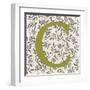 Leafy Letter - C-Belle Poesia-Framed Giclee Print