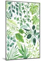 Leafy Medley-Elizabeth Rider-Mounted Giclee Print