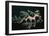 Leafy Seadragon Endemic to Southern Australia-null-Framed Photographic Print