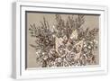 White Frame