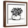 Brown Frame