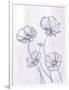 Gramercy White