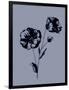 Gramercy Black