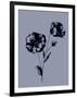 Gramercy Black