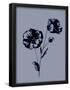 Essential Black