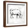 Brown Frame