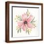 Brown Frame