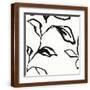 Brown Frame