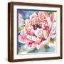 Brown Frame