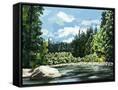 Canvas Black