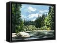 Canvas Black