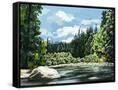 Canvas Black