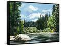 Canvas Black