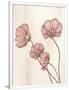 Gramercy White