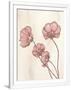 Gramercy White