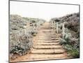 Wood Mount
