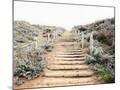 Wood Mount