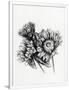 Gramercy White