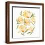 Brown Frame