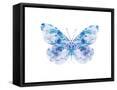 Framed Canvas