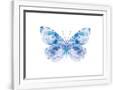 Gramercy White