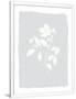 Gramercy White
