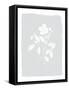 Framed Canvas