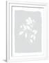 Gramercy White