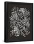 Essential Black