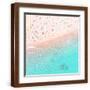 Brown Frame
