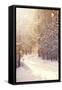Canvas Black