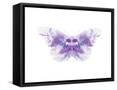 Framed Canvas
