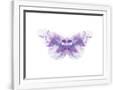 Gramercy White