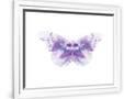 Gramercy White