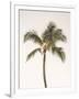 Gramercy White