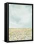Framed Canvas
