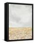 Framed Canvas