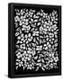 Essential Black