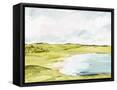 Framed Canvas