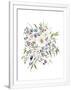 Gramercy White