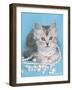 Leah-Rachael Hale-Framed Photographic Print