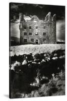 Leamaneagh Castle, County Clare, Ireland-Simon Marsden-Stretched Canvas