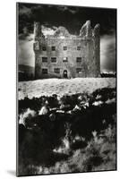 Leamaneagh Castle, County Clare, Ireland-Simon Marsden-Mounted Giclee Print