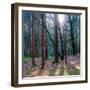 Lean On Me-Anne Schneidersmann-Framed Photographic Print