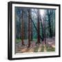 Lean On Me-Anne Schneidersmann-Framed Photographic Print