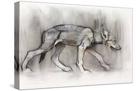 Lean Pup (Arabian Wolf), 2009-Mark Adlington-Stretched Canvas